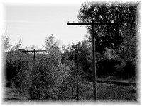 The path taken