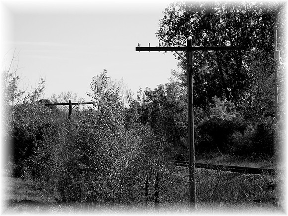 The path taken