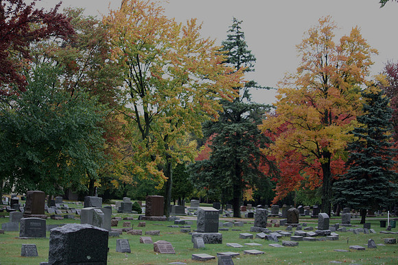 The Graveyard